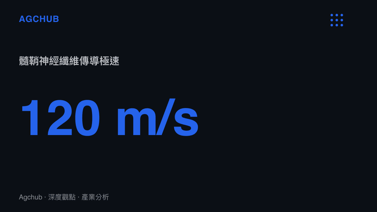 統計數據呈現人類髓鞘神經纖維每秒約一百二十公尺的最高傳導速度